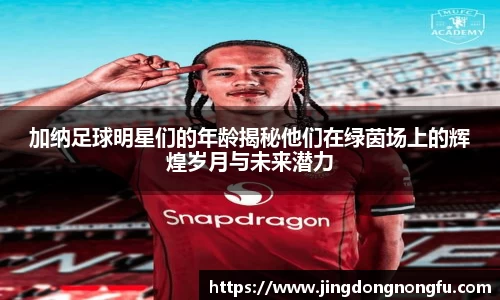加纳足球明星们的年龄揭秘他们在绿茵场上的辉煌岁月与未来潜力